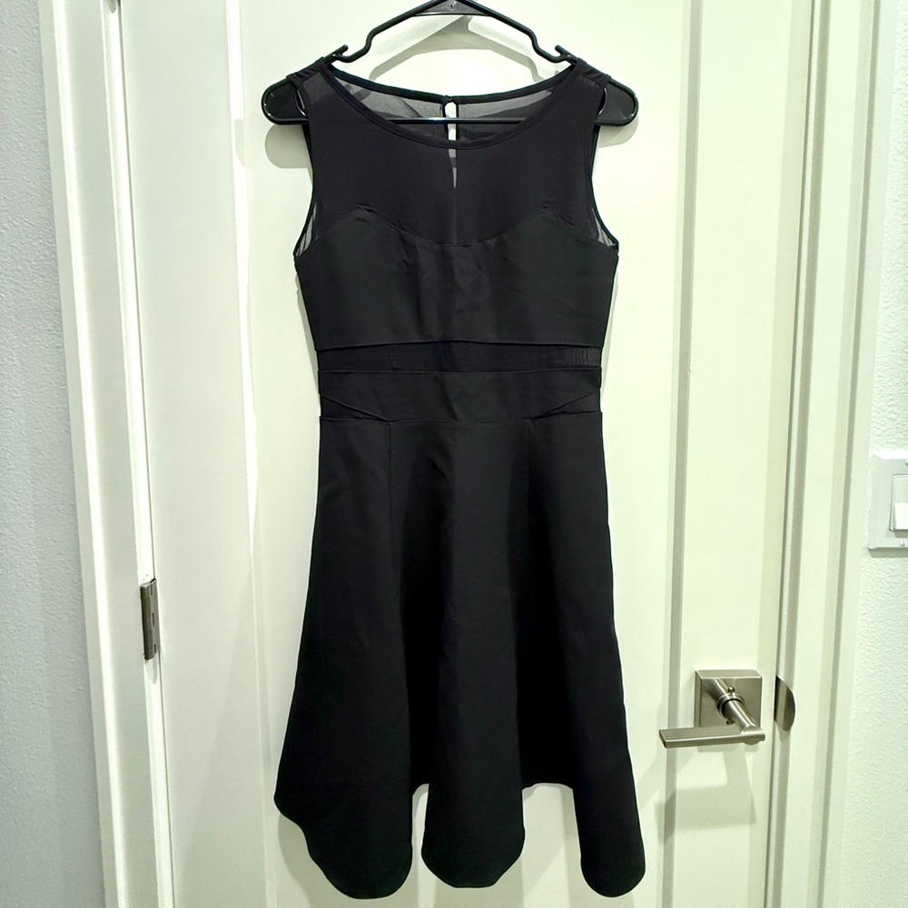 Elizabeth and James Black Mesh Fit and Flare Mini Dress